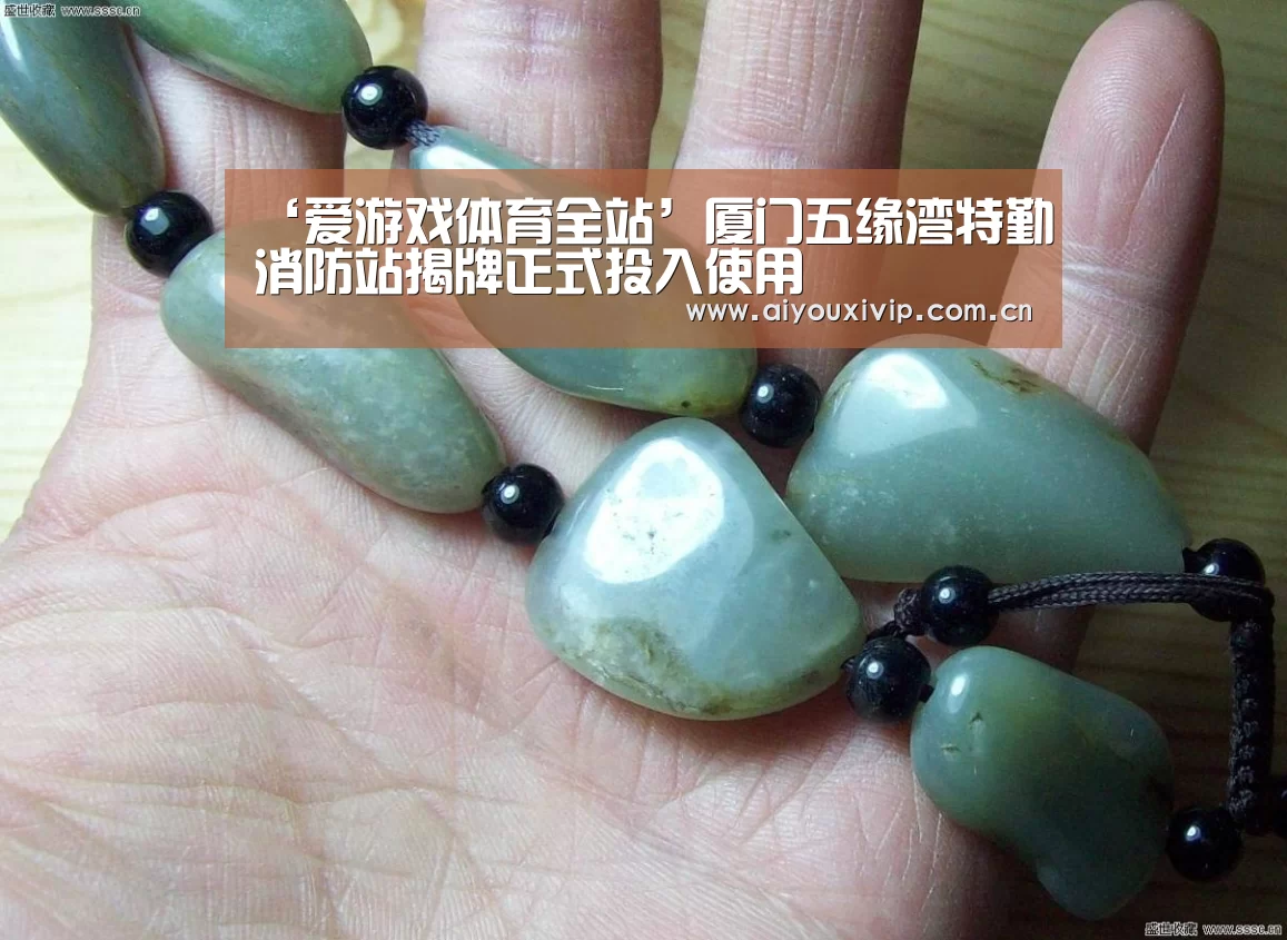 ‘爱游戏体育全站’厦门五缘湾特勤消防站揭牌正式投入使用(图1) 爱游戏娱乐