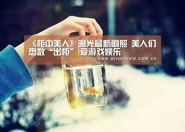 爱游戏体育