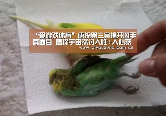 爱游戏体育