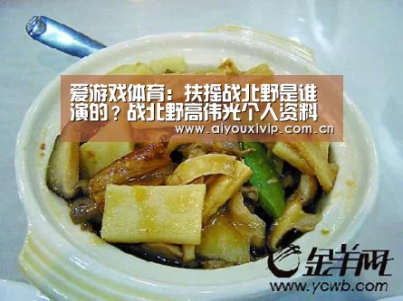 爱游戏体育